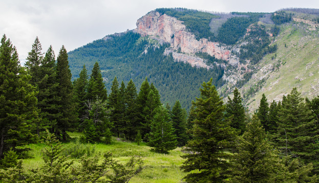 Gallatin Range - George Wuerthner
