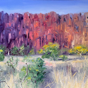Windjana Gorge copy.jpeg