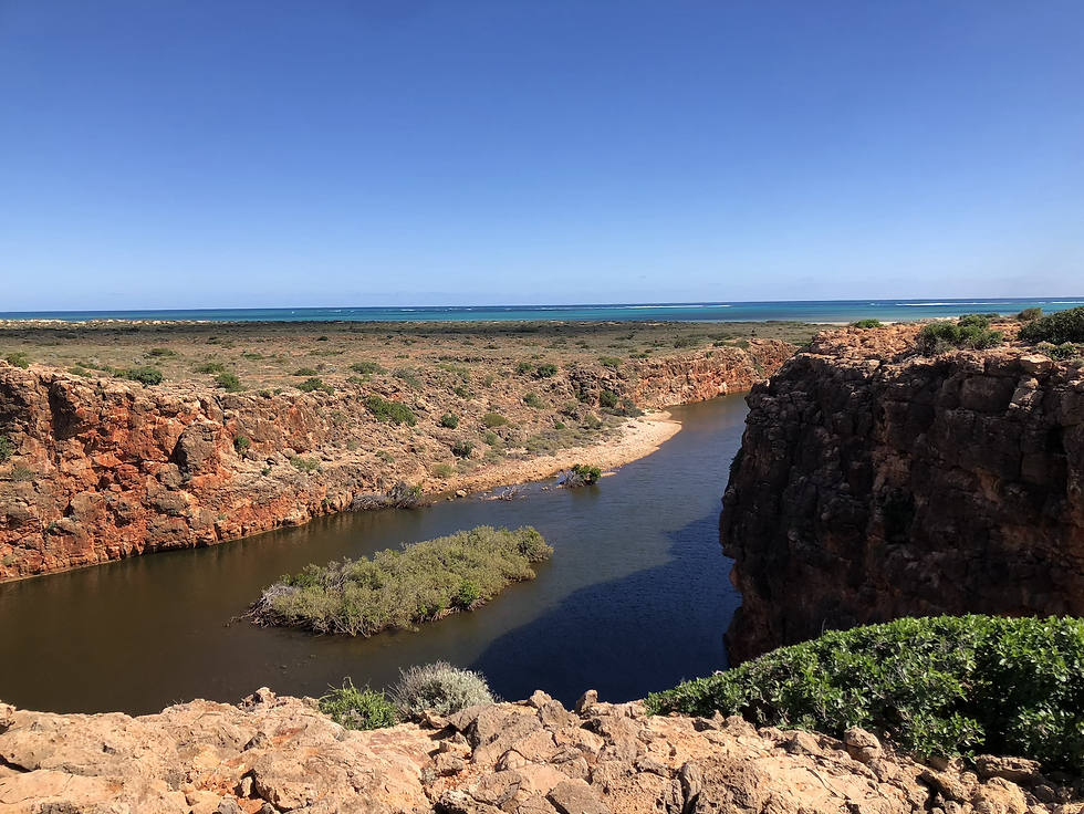 yardie creek