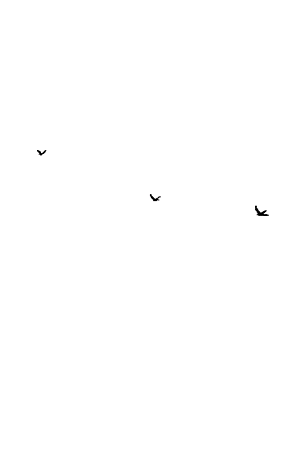 giphy-3.gif