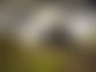 The Connolly Express Keeps On Rolling - 3 New Resort Partners Executed