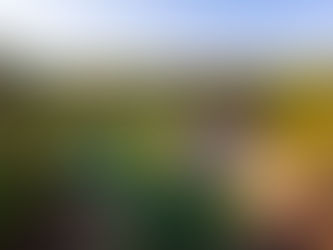 Tobacco Road Golf Course Joins Forces With ShipSticks