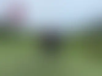 Ship Sticks visits Pebble Beach