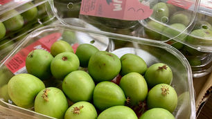 NZ産キウイベリーが入荷します