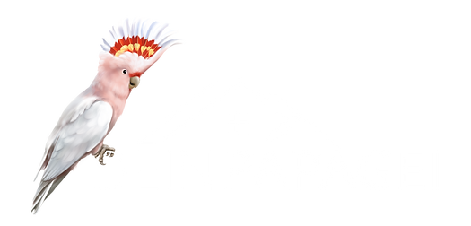 Logo_Dein_Papagei_white.png