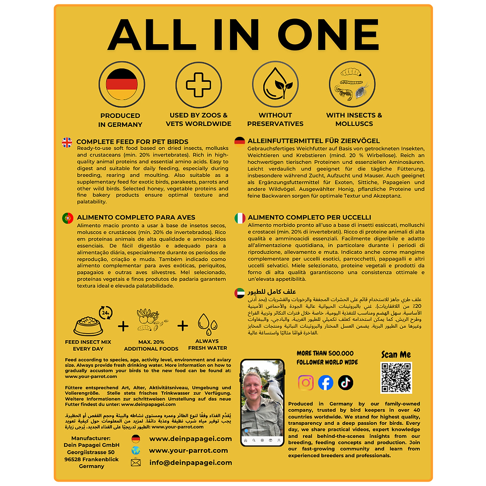 Miniaturbild: Insekten Patee