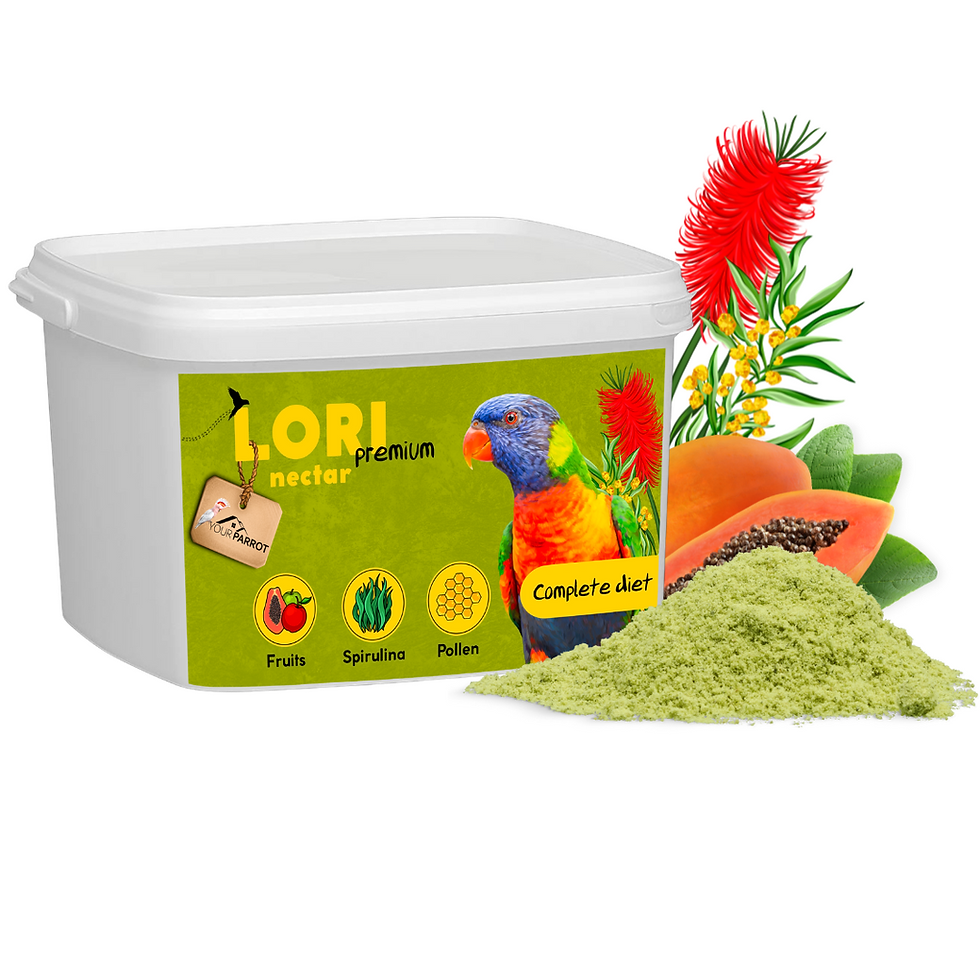 Lori Nektar Premium | Dein Papagei