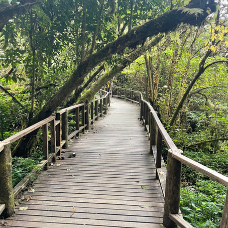 Week 7: Doi Inthanon, Muay Thai & Doi Suthep