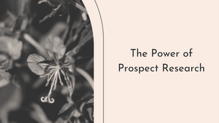 The Power of Prospect Research with Bloom Grant Consulting