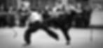 sifu-andrew-flying-kick-700x450-1.jpg