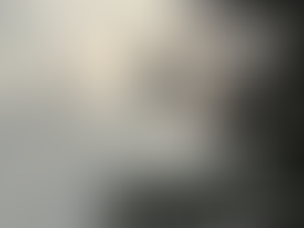 🌿季節が語ること、対話が導くこと