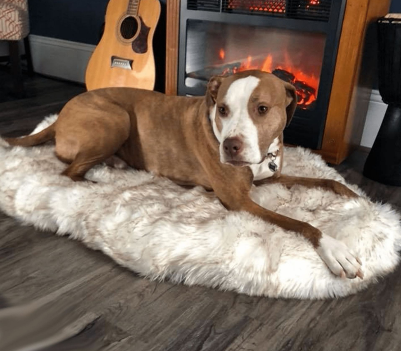 Thumbnail: Beige Plush Pet Dog Mat for Resting and Comfort