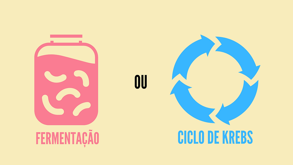 Destinos do Piruvato