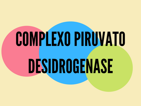Complexo Piruvato Desidrogenase (CPDH)