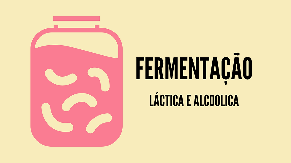 Fermentação