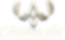 Asset 12.png