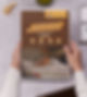 brochure designing