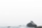 _96A7922-Verbessert-RR.jpg