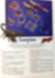 1 brochures (22)