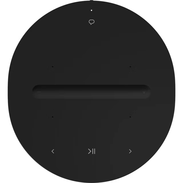Miniatura: Sonos ERA 100