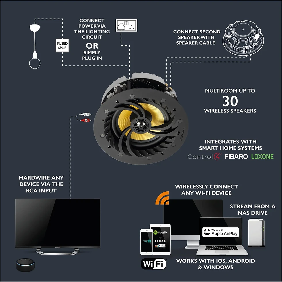 Miniatura: Wi-Fi Ceiling Speaker