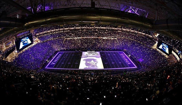 Vikings-Halftime-Overhead.jpg
