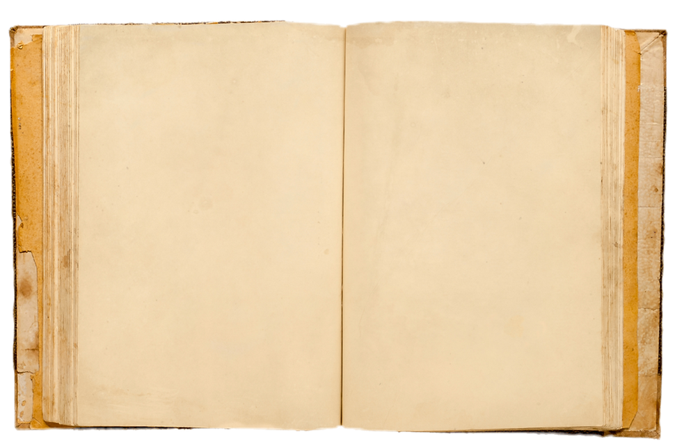 Beige Gold Wasserfarbe Sanft Hochzeit Gästebuch _edited.png