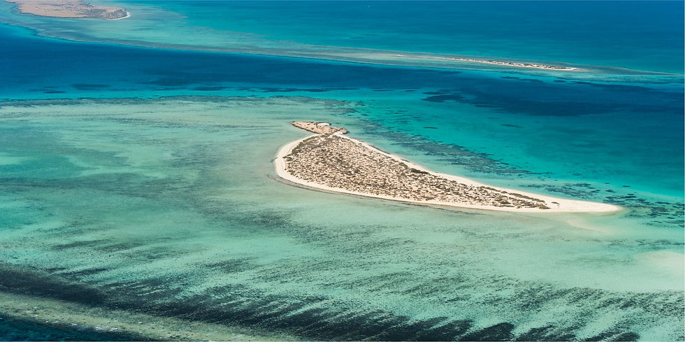 Red Sea - Umluj