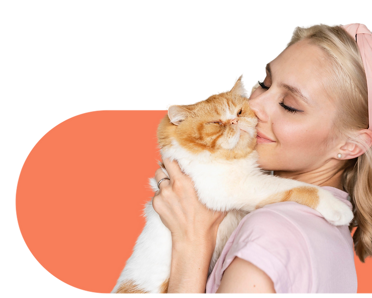 Effective FIP treatment, Through Clinical Researches