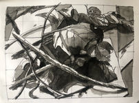 Ink Drawing of Leaf Litter