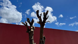 Kings of the Trail #087