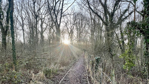 Kings of the Trail #157