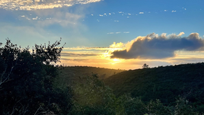 Kings of the Trail #187