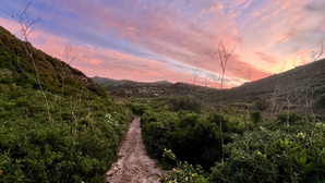 Kings of the Trail #162