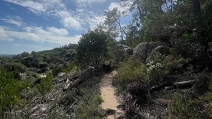 Kings of the Trail #091