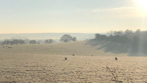 Kings of the Trail #046