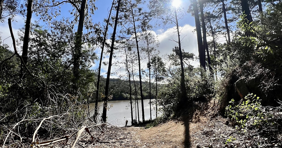 Kings of the Trail #158