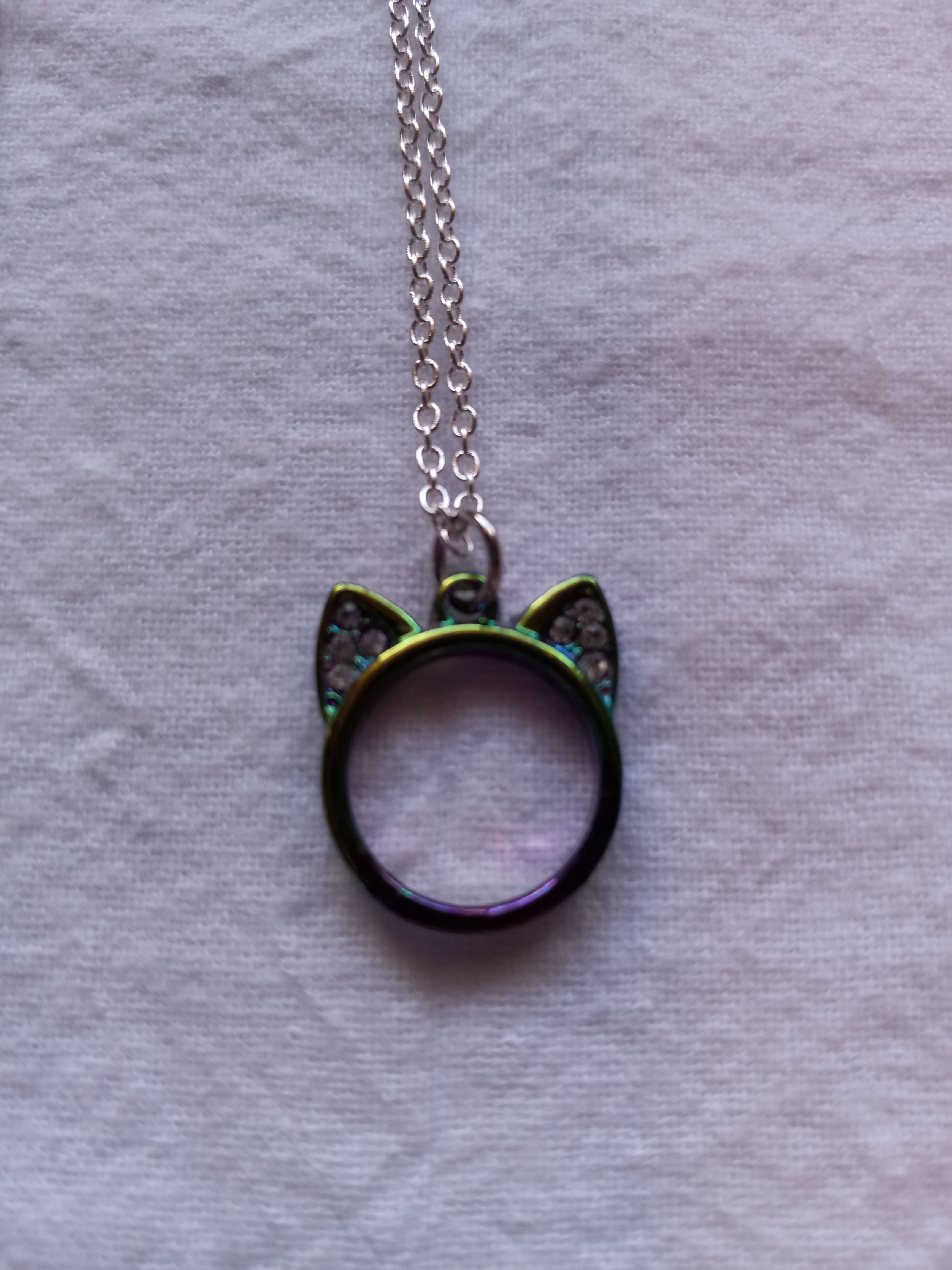 Multi Colored Cat with Sparkly Ears