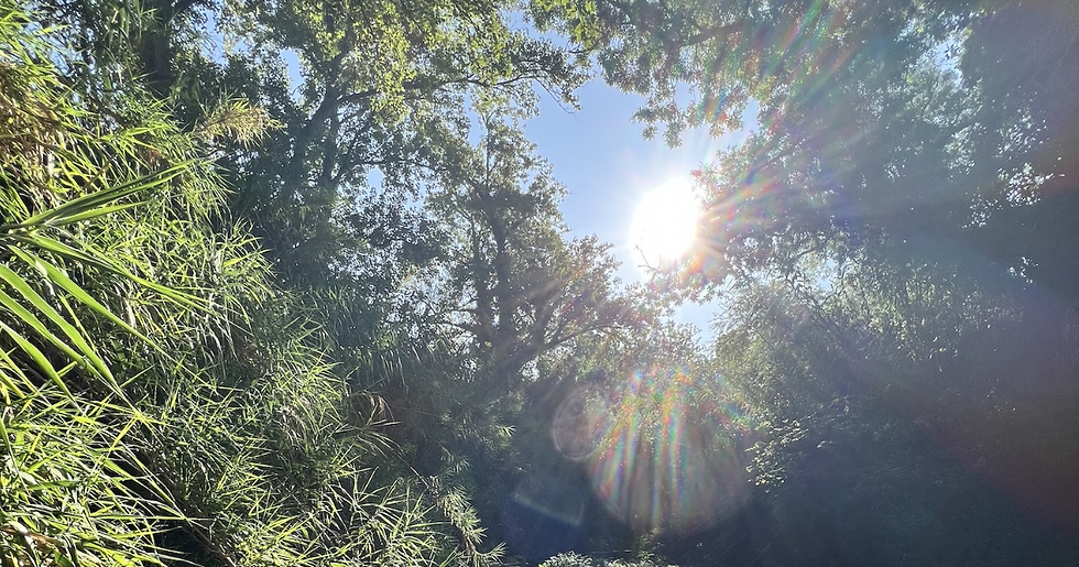 Kings of the Trail #179