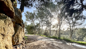 Kings of the Trail #173