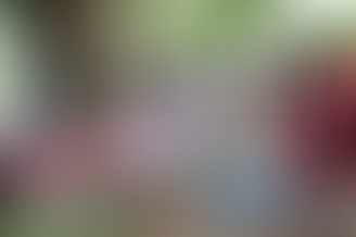 SIH Charity Club visits Wat Kradang Nga School