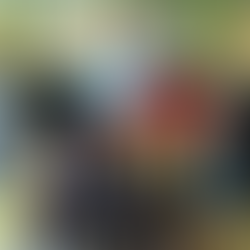 UNIVERSITIES VISIT 2018