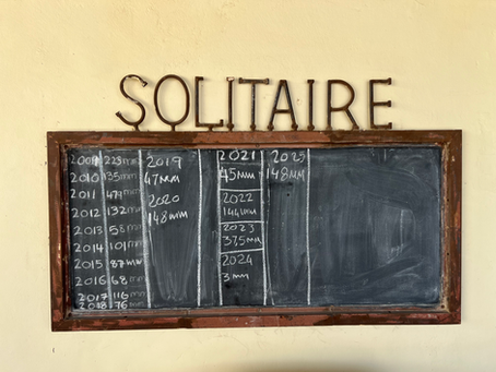 Namibia part 4: down to the sea