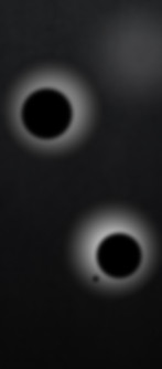 WEBSITE-01.jpg