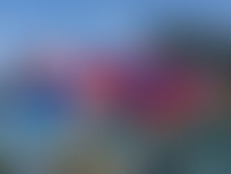 Winning Case Comp Brief: Timor-Leste's accession to ASEAN