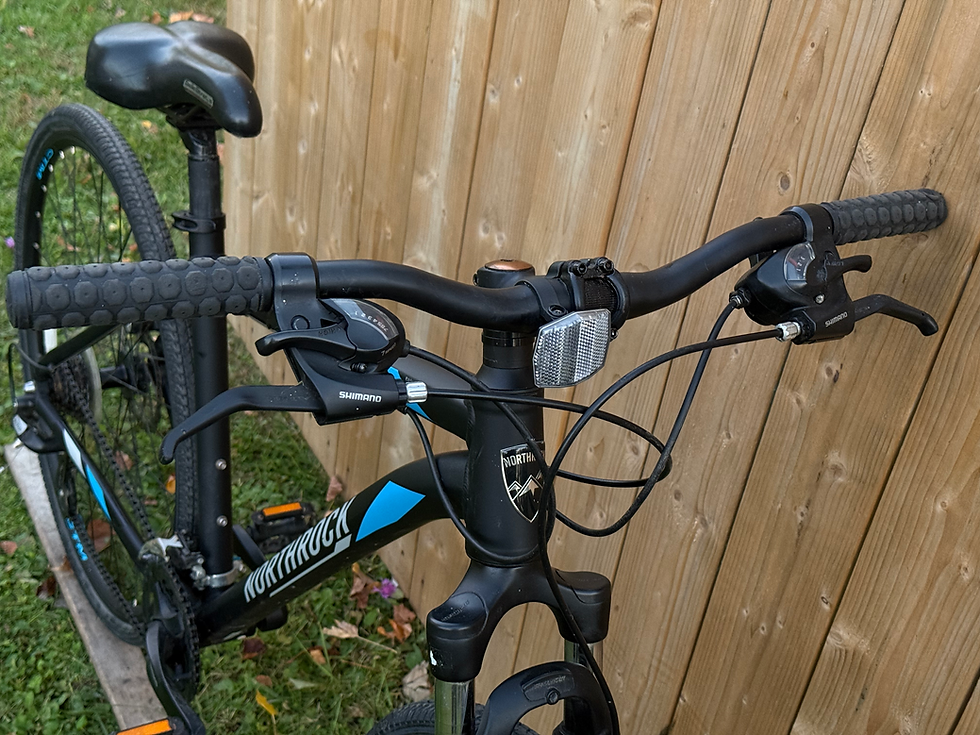 Thumbnail: Northrock CTM in excellent shape 700 c wheels 