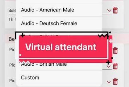 VIRTUAL ATTENDANT 300.jpg