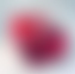 Täschchen magenta mit bunten exotischen Blüten