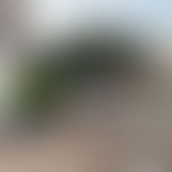 Acompañamos e intercedemos por las familias de los desaparecidos en La Guaira