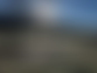 strahlende Wintersonne